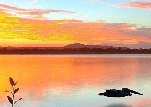 1602500546107017140.jpg C:UsersAdministratorDesktop风景.jpg