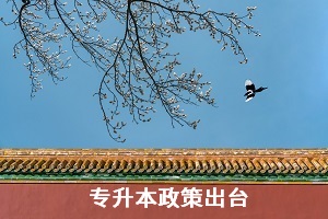 普通专升本各省的考试政策何时出台？哪些省份已公布？